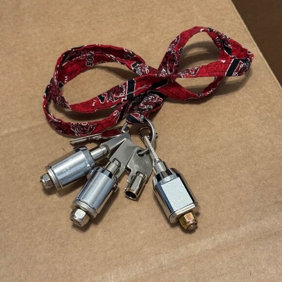 Locks & Keys for Self Storage Sheds - Picture 1 of 2